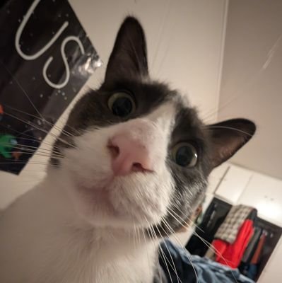 Buggさんのプロフィール画像