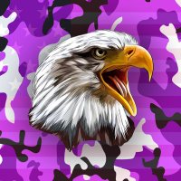 Practical Progressive (@progpractical) 's Twitter Profile