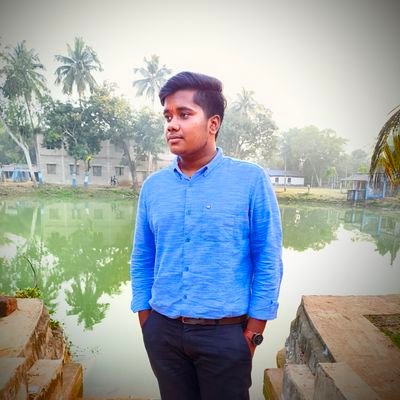 Satyapradip0104's profile picture. Engineering Student