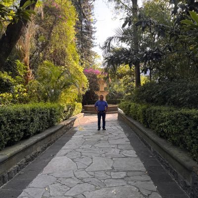 jcsamr's profile picture. Economista financiero con pasión por servir a México