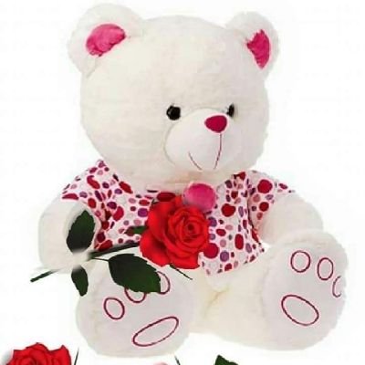 Evy587044752224's profile picture. 