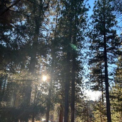 DaleLuoo's profile picture. 