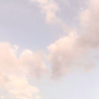 ͏★ (@gotseventeensz) 's Twitter Profile