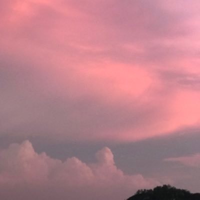 1908lphy's profile picture. Love the beautiful things!