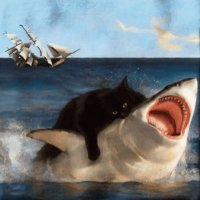 Marsh (@imarshdev) 's Twitter Profile