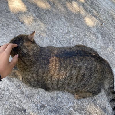 phridxphil15257's profile picture. 