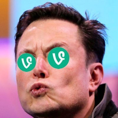 mookin06's profile picture. vine investor