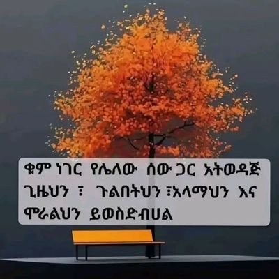 JXaher52835's profile picture. 