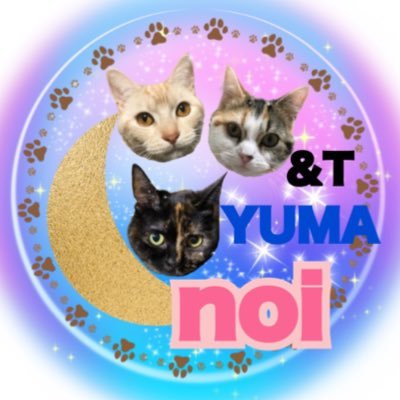 &TEAM推し LUNÉ のいです I-LANDから&AUDITION ゆまへの愛を貫く事に決めました ゆま溺愛宣言します 投票ポスト多め 無言フォロー歓迎ですTOHOKU🏷️@cmslr10310310