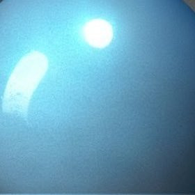 bluetntz's profile picture. 