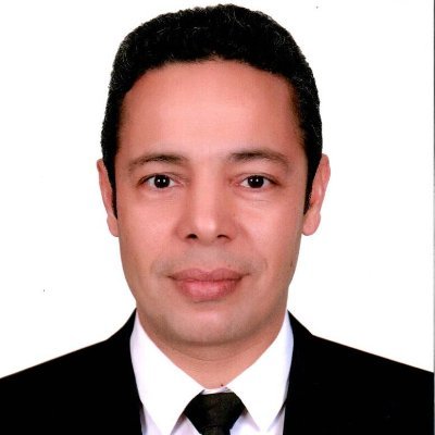 Professor, Electrochemical Physics, Benha University