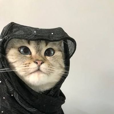 Duygusal insan
Boş işler sorumlusu
Overthinking(Master's Degree)