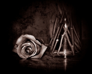 basicology101's profile picture. Whatever Works...