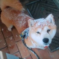 Wojakians and Genx NFT CLONE (@and_clone42842) 's Twitter Profile