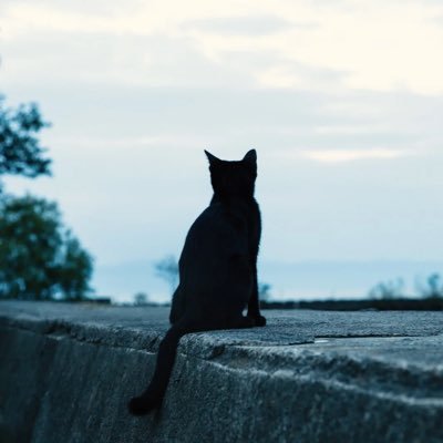 PMT_Go's profile picture. 幻燈でした 黒猫です 20↑腐 主に短歌と小説とまほやく(現在🌈🕒については別垢で話しています/二次創作はここのぽいぴく)すべて個人の意見と感想です 詠んだ短歌はメディア欄に 一次創作の一部は支部に【https://t.co/HjJFV8dYJn】 生活はbskyでポストしたりしなかったり
