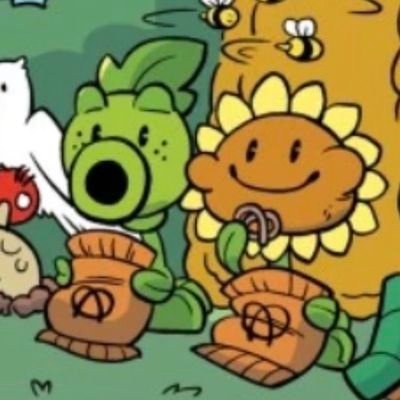 momazostiagoxd's profile picture.