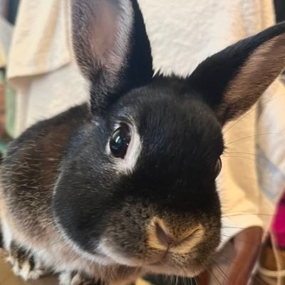 NTTD R&D → AWS Support → AWS Startup Solutions Architect @awscloud / Startup🦄 / Frontend / Serverless / Design Engineer / Sydney / My opinions are my own.
