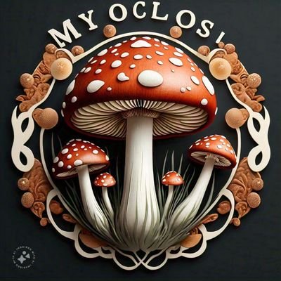 Exploring mycology and mushroom extraction
The healing power of plant medicine 🌱🍄
Health is wealth
Mycologist/Botanist/Alchemist