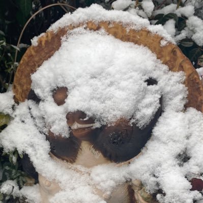 tarutaru0616's profile picture. TRPGやゲーム大好きな学生です！/ TRPG / リンバス / 学マス /タバコ吸ってる人が癖だと気づいた。