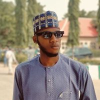 Engr Ismail Danlami Dahiru (@engr_di_faz) 's Twitter Profile