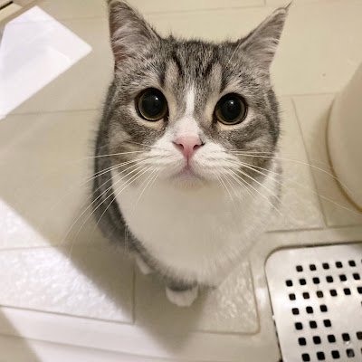 miporin49993279's profile picture. 