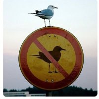 PJama (@long_pjama) 's Twitter Profile Photo PJama (@long_pjama) 's Twitter Profile Photo