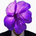 greywindjing (@greywindj) Twitter profile photo greywindjing (@greywindj) Twitter profile photo
