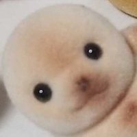 아기라마 (@baby__llama__) 's Twitter Profile Photo