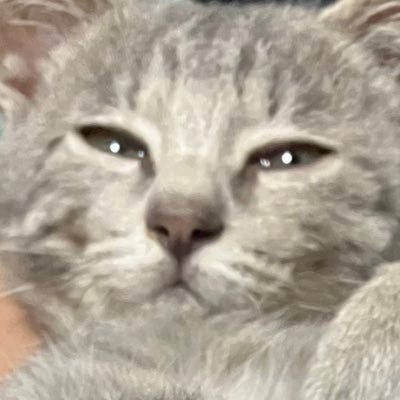 かなちぃさんのプロフィール画像