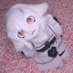 Thistle | Sheep Doll (@sheepsoftly) Twitter profile photo Thistle | Sheep Doll (@sheepsoftly) Twitter profile photo