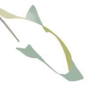 Kalaさんのプロフィール画像