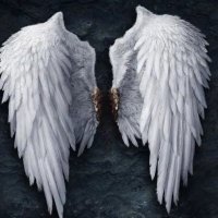 SMILER (@stonecoldsmiler) 's Twitter Profile