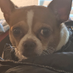 aaron burdick (@agb41sc6941) Twitter profile photo aaron burdick (@agb41sc6941) Twitter profile photo
