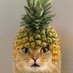 Pineapple Cat (@picaonbase) Twitter profile photo Pineapple Cat (@picaonbase) Twitter profile photo