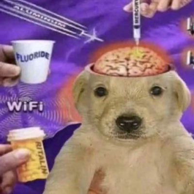 Pxppygxrlrot's profile picture. 