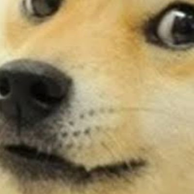 BihagJerem34710's profile picture. 