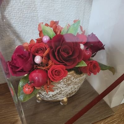 kz1cYwKM3i98539's profile picture. 