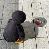 けた (@tyo0410) 's Twitter Profile