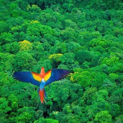 GinabetancourtM's profile picture. De Cali, Co 🇨🇴