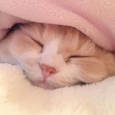 ↻ ◁ II ▷ ↺ Magic shop
back up : @7purplesins2
🩷 : yoongi • jimin • sunoo •heesung • jeonghan • renjun • rose • soobin • dokyeom + 99 more