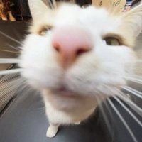Paul Giles (@evepaulgiles) 's Twitter Profile