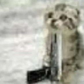 tamyahop's profile picture. 