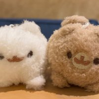 マヤノ (@maya_no0) 's Twitter Profile