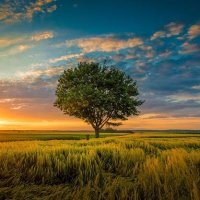 Narendra Vishnoi (@narendravi32143) 's Twitter Profile