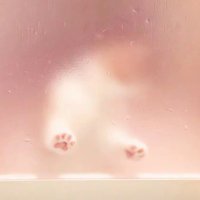 u (@4u_1106) 's Twitter Profile