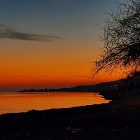 cırcırlı tornavida (Orkoo) (@trex4501) 's Twitter Profile