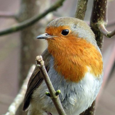 Petra598803's profile picture. Conservative.