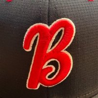 Baldwinsville Baseball (@beesbase) 's Twitter Profile