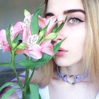 Senoneet (@senoneetun42fm) 's Twitter Profile