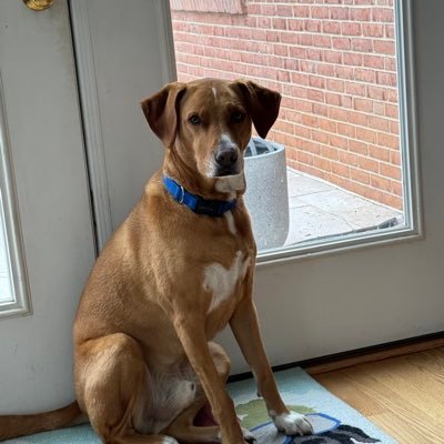 JRBKTOWN's profile picture. 